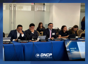 Imagen de la noticia: La DNCP participó en panel sobre Contrataciones Abiertas en la Reunión del MESICIC