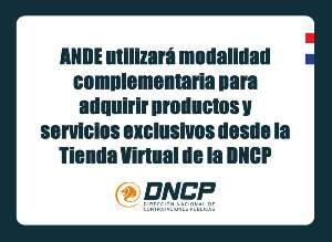 Imagen de la noticia: ANDE utilizará modalidad complementaria para adquirir productos y servicios exclusivos desde la Tienda Virtual de la DNCP