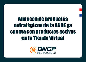 Imagen de la noticia: Almacén de productos estratégicos de la ANDE ya cuenta con productos activos en la Tienda Virtual